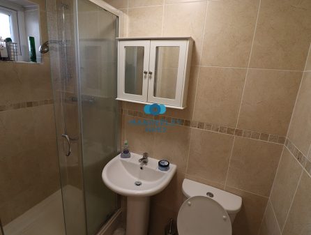 87sirdar bathroom1 gf ii_1080